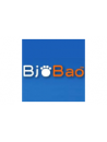 Bjo Bao